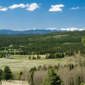 Wheeler Peak Wilderness